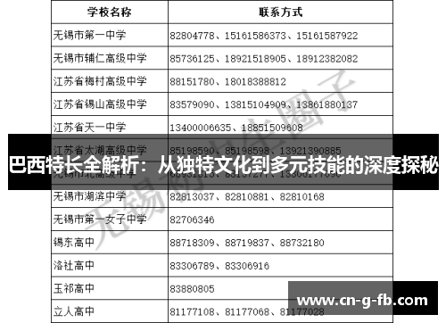巴西特长全解析：从独特文化到多元技能的深度探秘