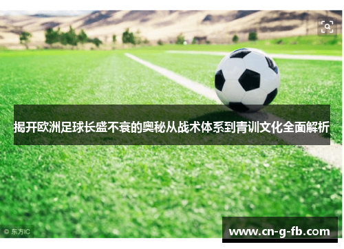 揭开欧洲足球长盛不衰的奥秘从战术体系到青训文化全面解析