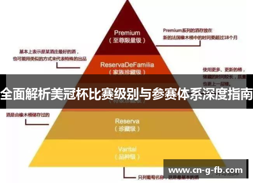 全面解析美冠杯比赛级别与参赛体系深度指南