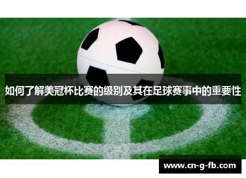 如何了解美冠杯比赛的级别及其在足球赛事中的重要性