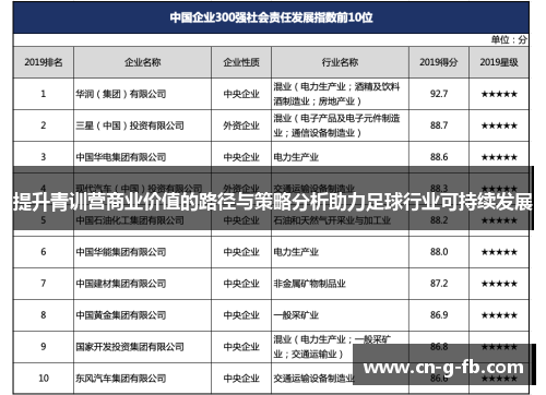 提升青训营商业价值的路径与策略分析助力足球行业可持续发展