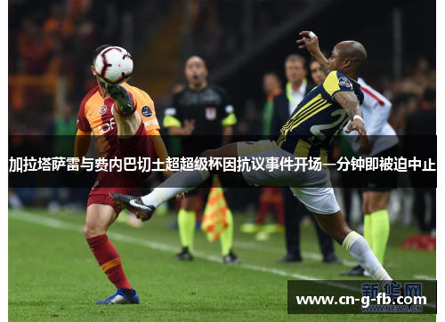 加拉塔萨雷与费内巴切土超超级杯因抗议事件开场一分钟即被迫中止 加拉塔萨雷与费内巴切土超超级杯因抗议事件开场一分钟即被迫中止