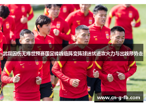 武磊因伤无缘世预赛国足锋线临阵变阵球迷忧进攻火力与出线形势走