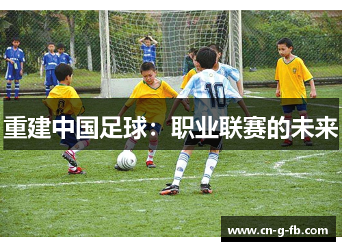 重建中国足球：职业联赛的未来